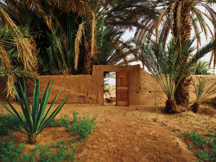 Moroccan Oases: Heart of the Desert's Resilience and Cultural Richness